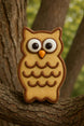 Owl-shaped cookie on a tree branch with a natural background from a 3.25 inch Owl Metal Cookie Cutter