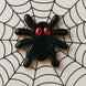 2.5 inch Spider Metal Cookie Cutter shaped black spider cookie with red eyes on spider web background.