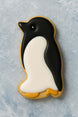 Penguin-shaped cookie with black and white icing on a textured gray background from a 3 inch Penguin Metal Cookie Cutter