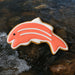 5 inch Salmon Fish Metal Cookie Cutter shaped cookie on a rocky surface near water.