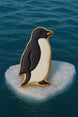 Penguin cookie on a small ice floe with ocean background from a 3.25 inch Penguin Metal Cookie Cutter
