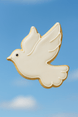 Decorative cookie shaped like a dove against a blue sky background from a 3.75 inch Dove Metal Cookie Cutter