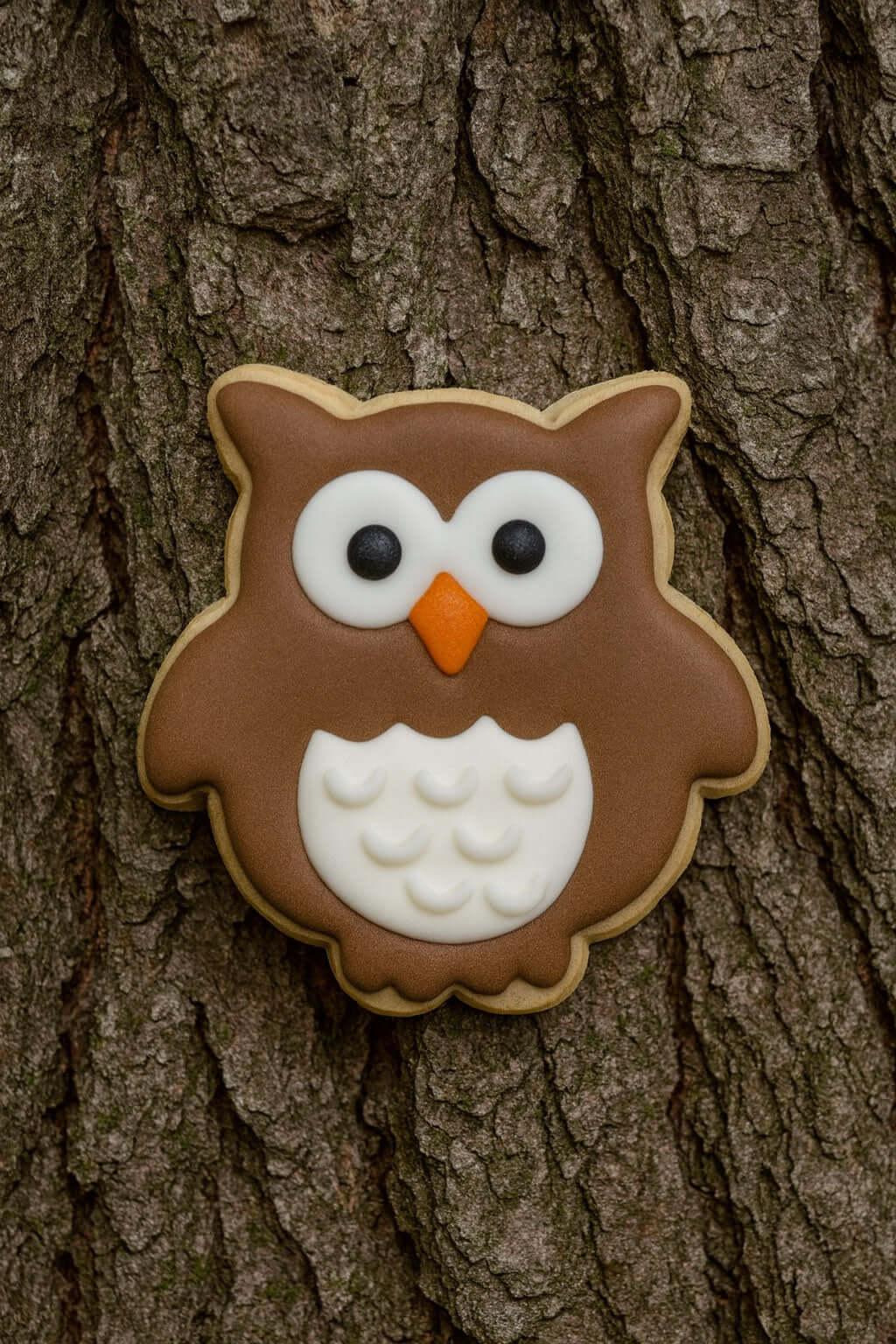 Owl-shaped cookie on a tree trunk from a 1.75 inch Mini Owl Metal Cookie Cutter