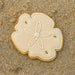 Decorative sand dollar cookie on a sandy surface from a 1.5 inch Mini Sand Dollar or Hibiscus Metal Cookie Cutter