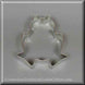 3 inch Frog Metal Cookie Cutter