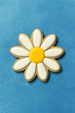 Decorative cookie shaped like a daisy with white petals and a yellow center on a blue background