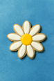 Decorative cookie shaped like a daisy with white petals and a yellow center on a blue background