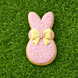3.75 inch Easter Bunny Rabbit Metal Cookie Cutter shaped pink cookie with bow on green grass.