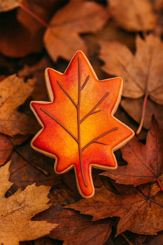 Maple leaf-shaped cookie on a bed of autumn leaves from a 3 inch Maple Leaf Metal Cookie Cutter