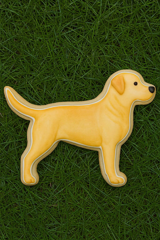 4.5 inch Labrador Retriever Metal Cookie Cutter shaped cookie on green grass.