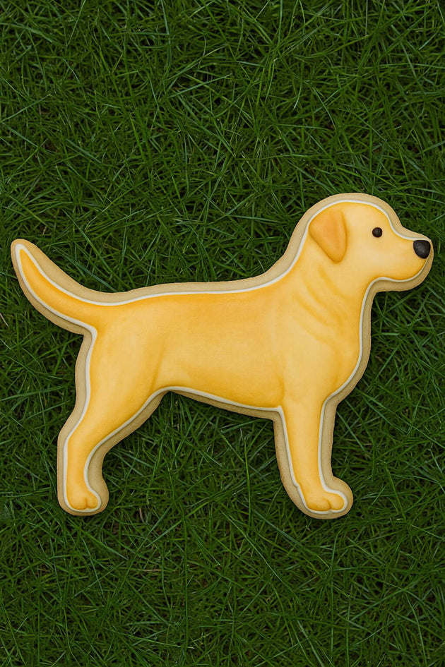 4.5 inch Labrador Retriever Metal Cookie Cutter shaped cookie on green grass.