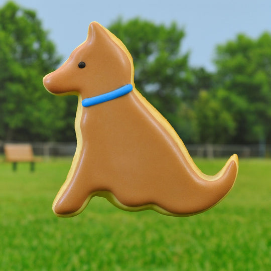 Dog-shaped cookie with a blue collar on a grassy field