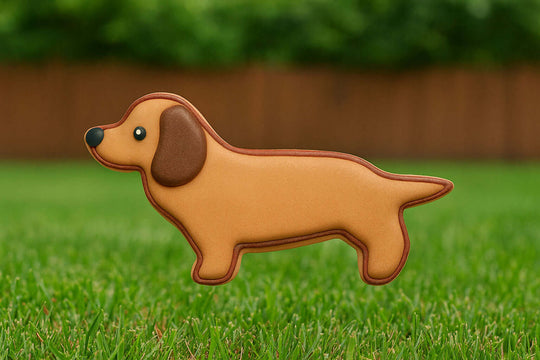 5 inch Primitive Dachshund Metal Cookie Cutter featured in a cute dog-shaped cookie on grass.