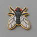 Decorated cookie from a 4 inch Moth or Fly Metal Cookie Cutter