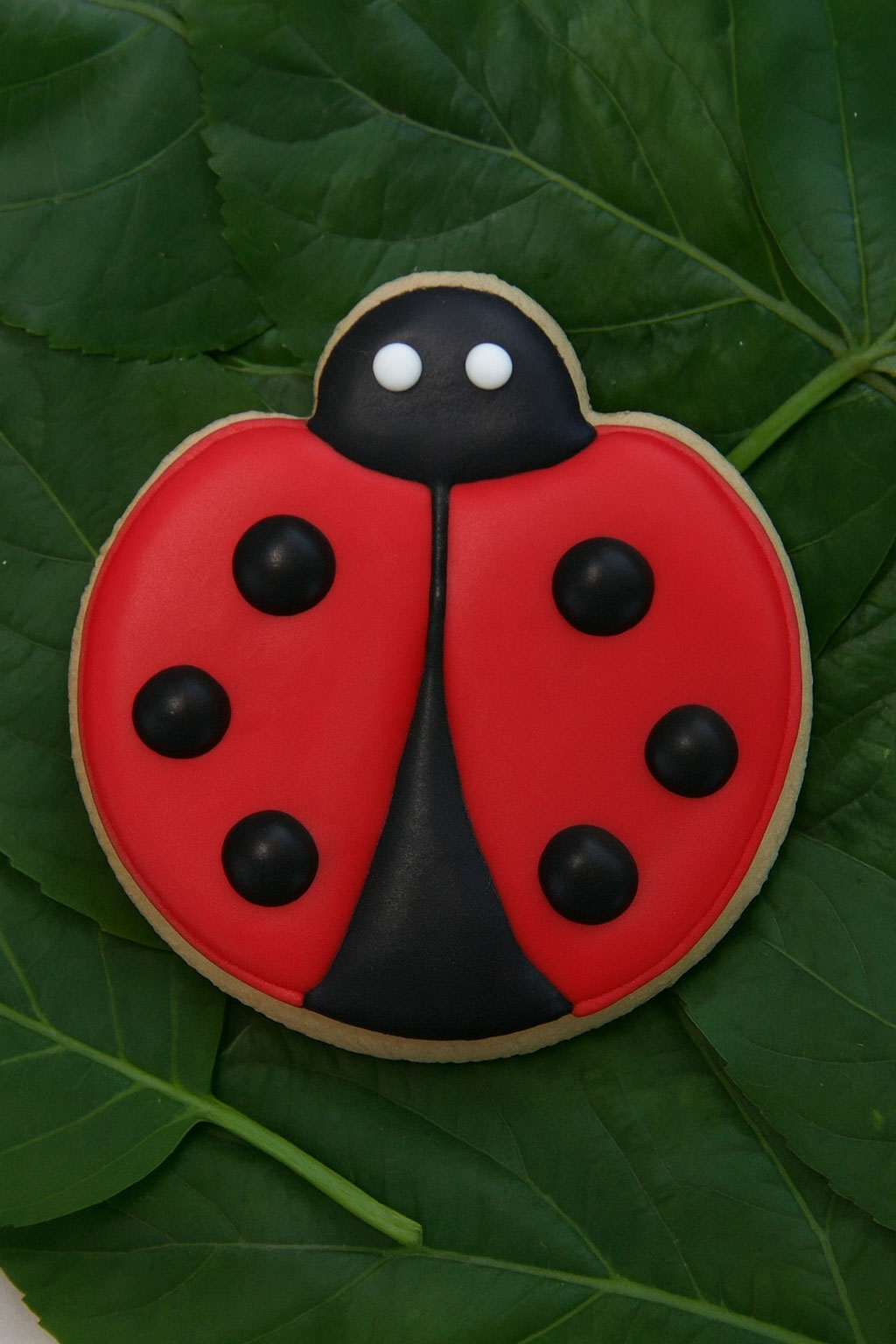 Decorative ladybug cookie on a green leaf from a 2.25 inch Ladybug Metal Cookie Cutter
