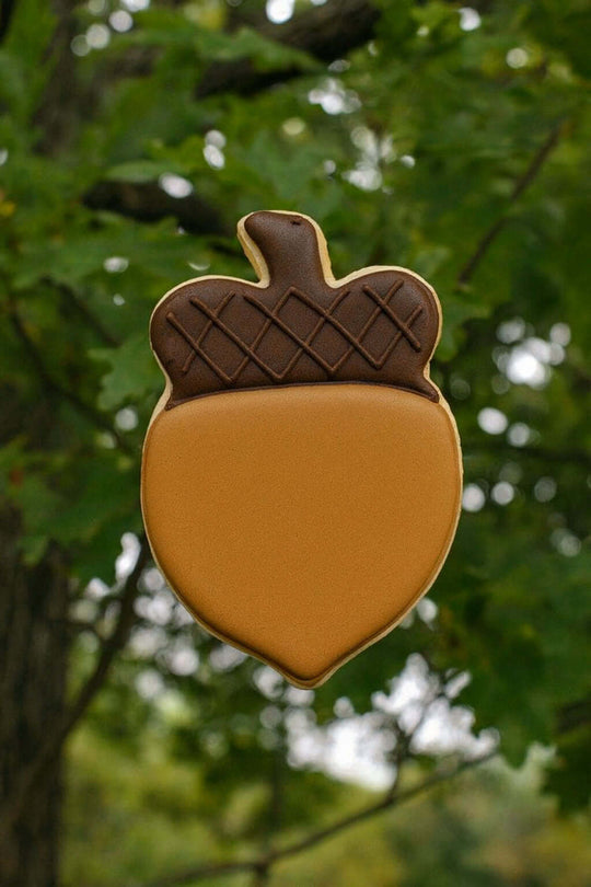 Acorn cookie made from 3.5 inch Acorn Metal Cookie Cutter