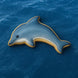 Dolphin-shaped cookie on a blue ocean background from a 2 inch Mini Dolphin Metal Cookie Cutter